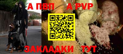 кокс Кингисепп